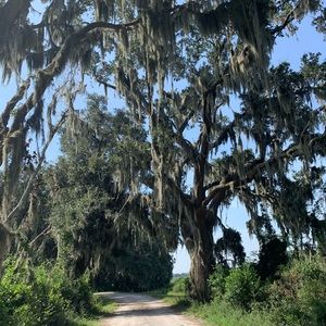 Meet your Posher, Timothy